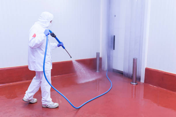 Paint Preparation in Marion Center, MA